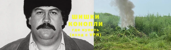 дурь Алзамай