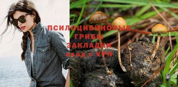синтетический гашиш Алексин